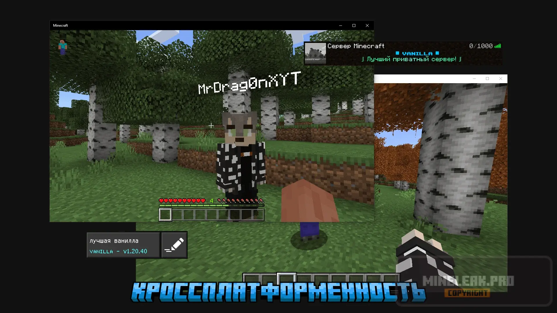 2 » Leaked-Minecraft.pro «.webp