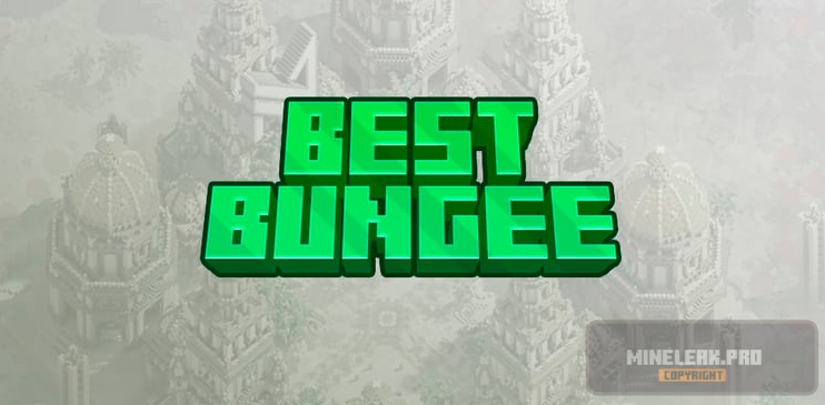 best-bungee-jpg.png
