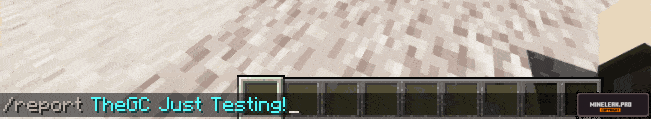 customcommands.gif