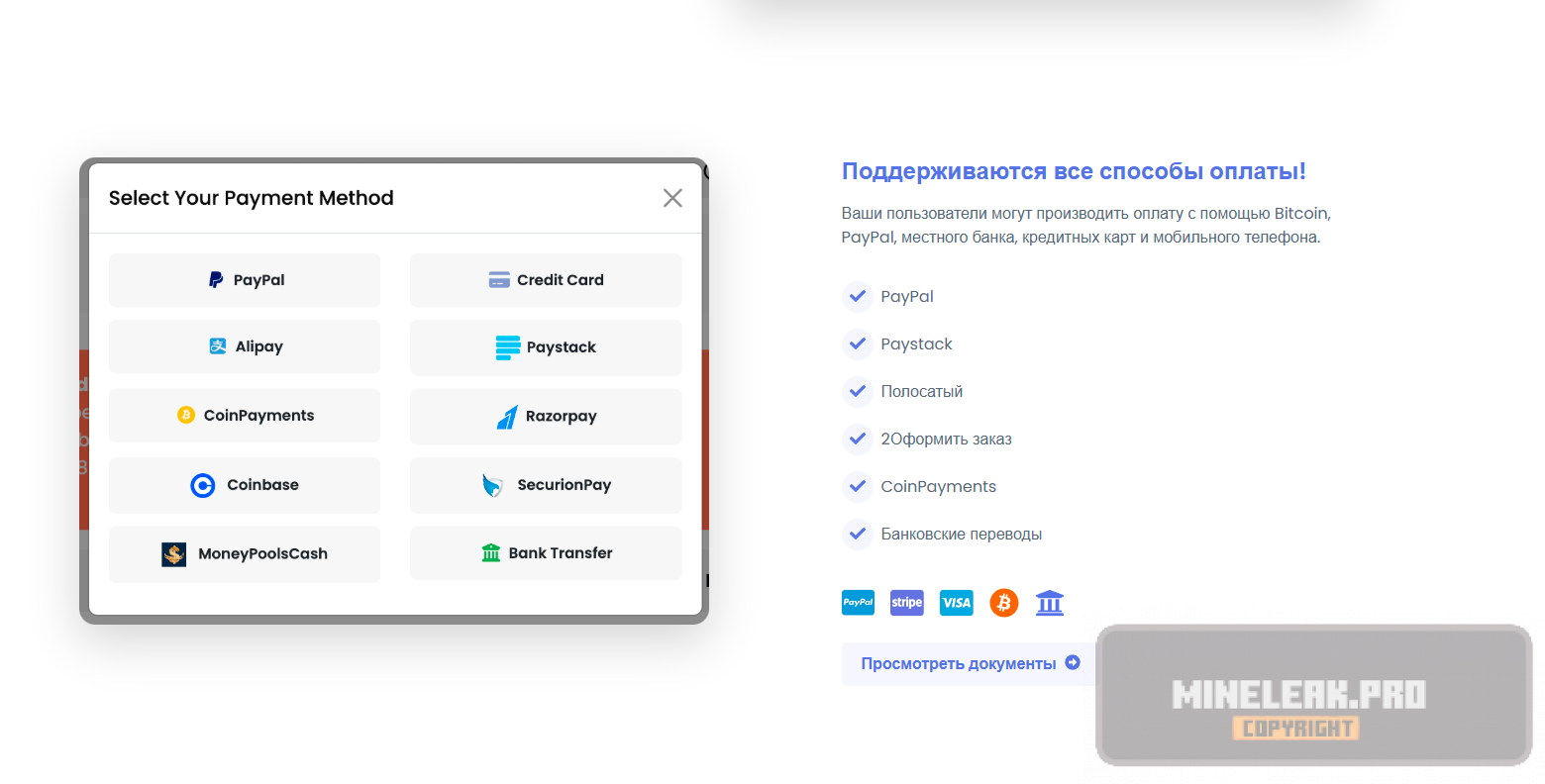 Sngine-ru-payments.png