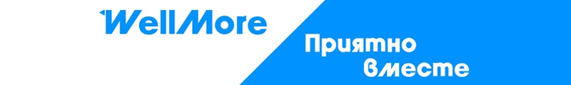 wellmore_logo.png