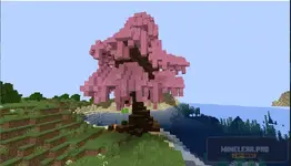 1755542286650.webp