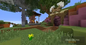 survival spawn 1.webp