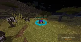 Screenshot 2026-02-21 173515.webp