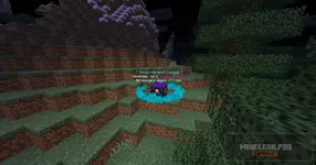 Screenshot 2026-02-21 173548.webp