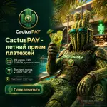 cactuspay_summer.webp