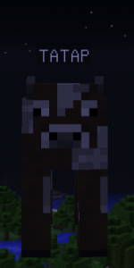 1612613642935.png