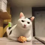 1783263019609.webp