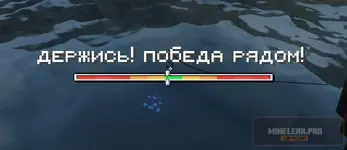 1000003927.webp