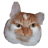 Kapigadze