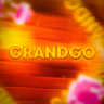 Слив дизайна для проекта GRANDGO