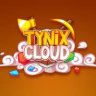 Исходник системы Core (TynixCloud)