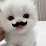 Плагин LagFixer